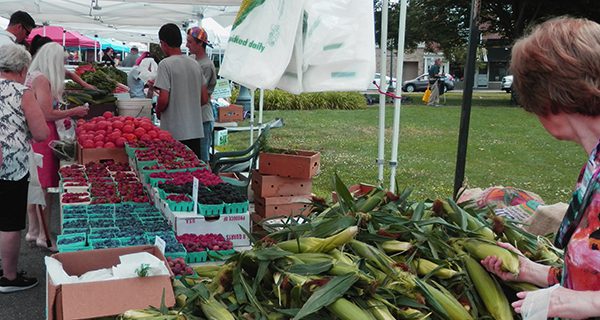 Farmers Market hits mid-summer stride