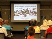 Library hosts grey seal presentation