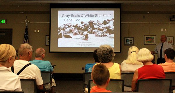 Library hosts grey seal presentation