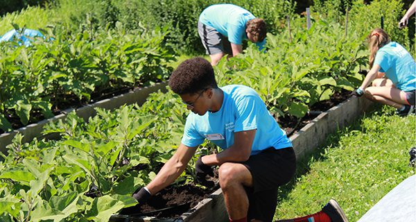 Project VAN volunteers give back