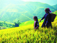 Montague ‘roughs it’ to prevent malaria