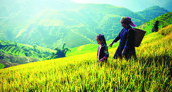 Montague ‘roughs it’ to prevent malaria