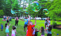 Dover Library hosts annual Fun Fair