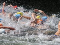 Suburban swimmers shine in Ehrlich Mile