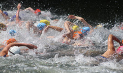Suburban swimmers shine in Ehrlich Mile
