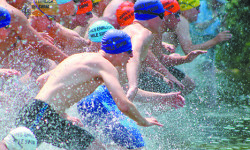 Suburban swimmers shine in Ehrlich Mile