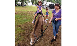 Apple Harvest Fair brings family fun