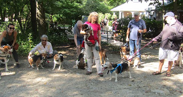 Rescue dogs bark, bay at Borderlands