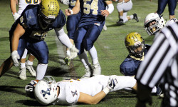 Masse, Hawks take flight