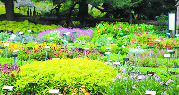 Caterpillar Club meets at Elm Bank