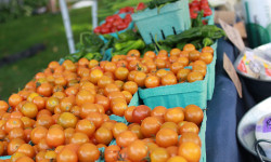 Food, friends and fun at Farmers’ Market