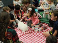 A hoppy day at Wellesley Library