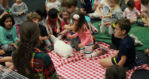 A hoppy day at Wellesley Library