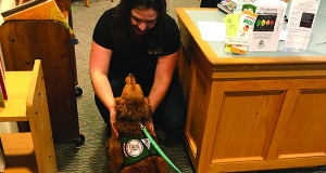 Bernadette Foley, the Head of Children’s Services at Medfield Public Library, gives Toby some love.