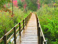 Boardwalk opening soon in Walpole