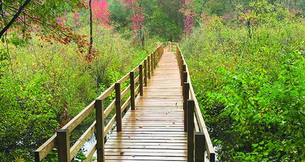 Boardwalk opening soon in Walpole