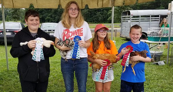4-H celebrates successful and educational year