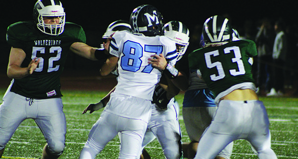 Fay, Wolverines outlast Williams, Warriors