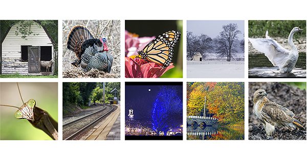 Local artists hosting gift fair