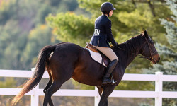 Dover’s Kocher setting records at Dartmouth