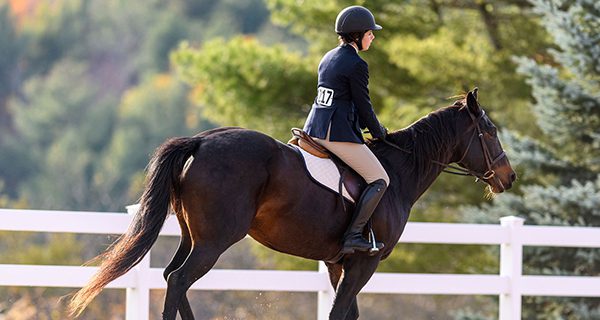 Dover’s Kocher setting records at Dartmouth