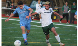McNeil, Warriors battle Wolverines in playoffs