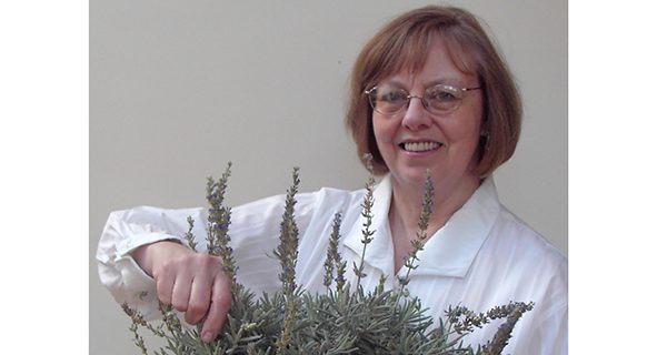 ‘All Seasons Shade Gardens’ upcoming