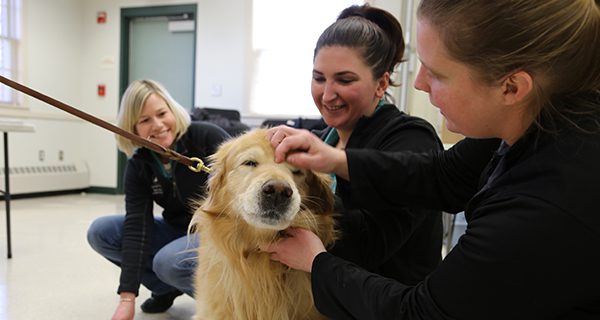 Annual rabies clinic draws wide crowd