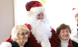 COA hosts holiday luncheon
