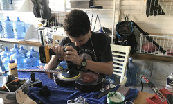 Dover’s Collins makes music