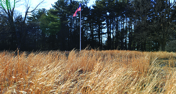 Lazily lapping in the wind, Old Glory sways with the grass at Bird Park.