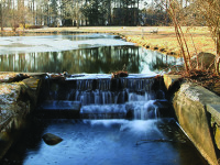 Bird Park quietly thrives in winter