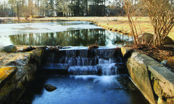 Bird Park quietly thrives in winter
