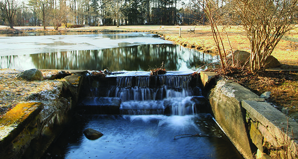 Bird Park quietly thrives in winter