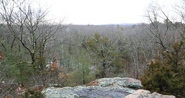 A hidden world in the heart of Wellesley