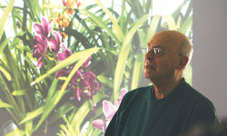 Medfield Garden Club learns about orchids