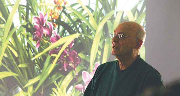 Medfield Garden Club learns about orchids