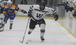 Donohue tallies pair as Wolverines tie Mustangs