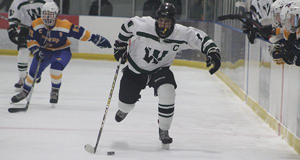 Donohue tallies pair as Wolverines tie Mustangs