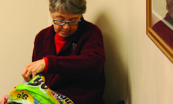 Medfield looks to ban plastic bags