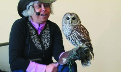 Raptors swoop into Walpole Library