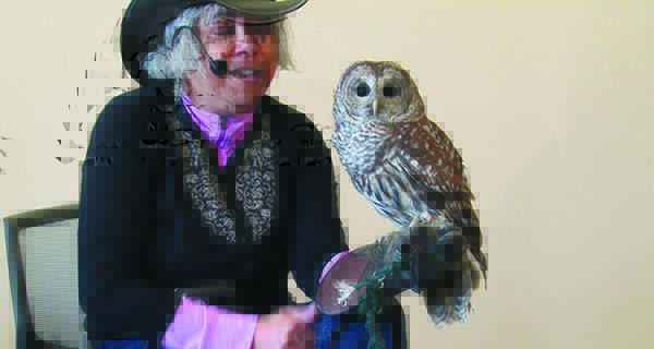 Raptors swoop into Walpole Library