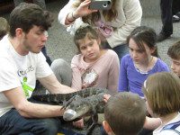 Ark of animals comes to library