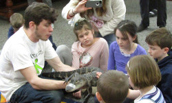 Ark of animals comes to library