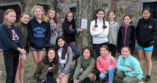 One Tree Makes a Big Difference