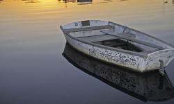 Nancy Rich floods library with ‘Afloat’