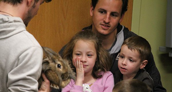 Curious Creatures invade Dover Library