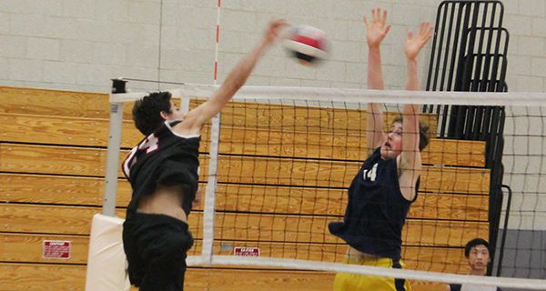 Needham volleyball downs young Wellesley team