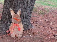 Searching for bunnies in Bird Park