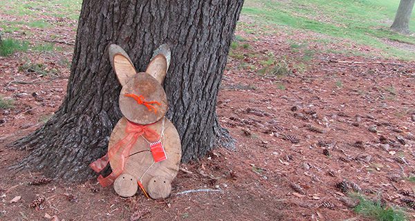 Searching for bunnies in Bird Park